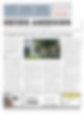 Neuer Anzeiger 29 August 2014