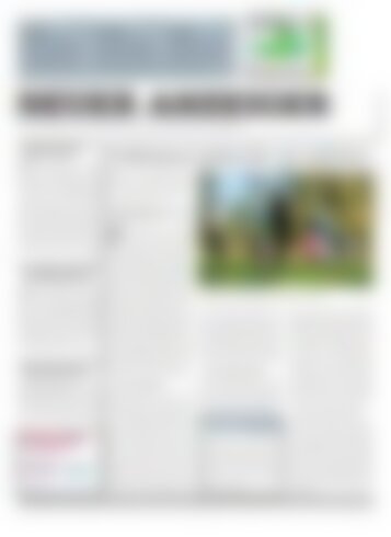 Neuer Anzeiger 17 Oktober 2014