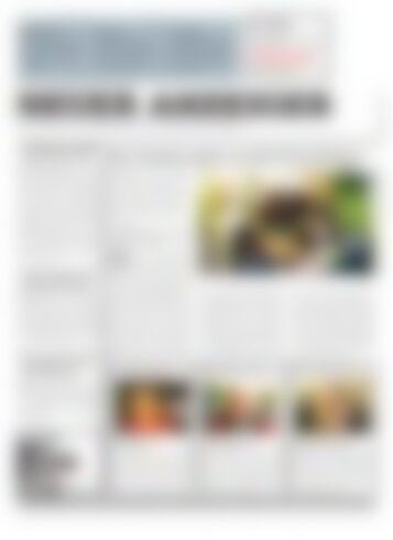 Neuer Anzeiger 12 Dezember 2014