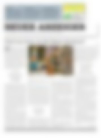 Neuer Anzeiger 24 Dezember 2014