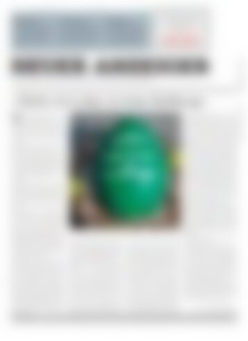 Neuer Anzeiger 24 März 2016