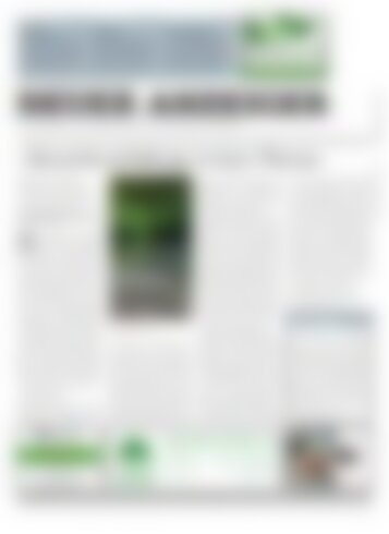 Neuer Anzeiger 11 November 2016