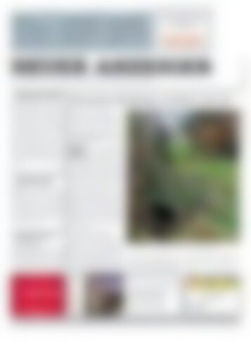 Neuer Anzeiger 25 November 2016