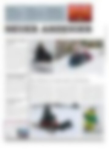 Neuer Anzeiger 06 Januar 2017