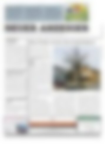 Neuer Anzeiger 10 März 2017