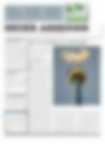 Neuer Anzeiger 07. April 2017