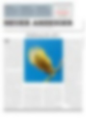 Neuer Anzeiger 13. April 2017