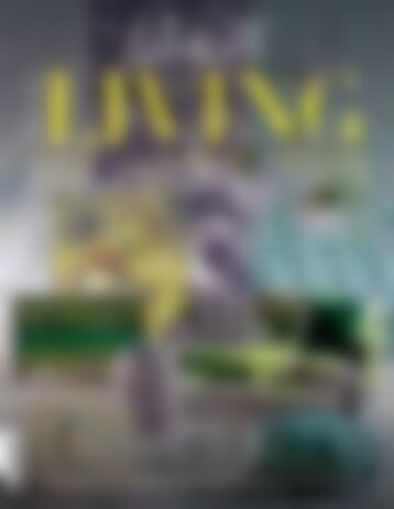 Falstaff Living 01/2017