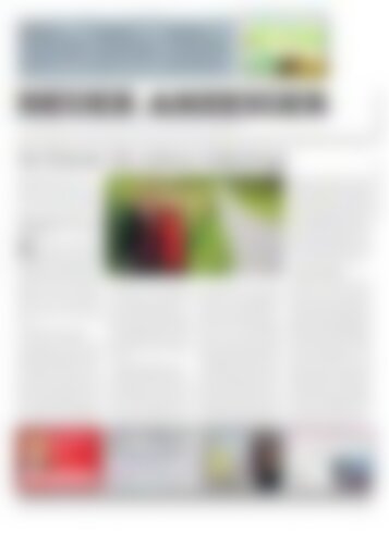 Neuer Anzeiger 15. September 2017