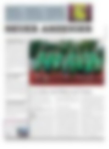 Neuer Anzeiger 6. Oktober 2017