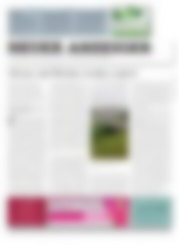 Neuer Anzeiger 10. November 2017