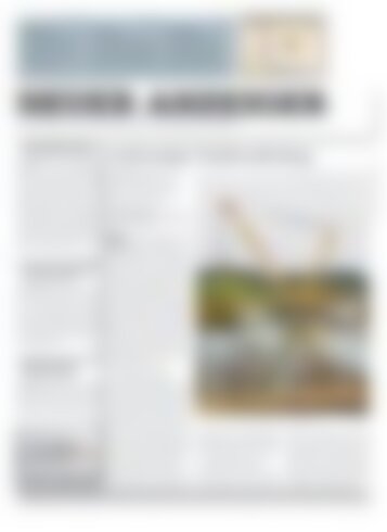 Neuer Anzeiger 2. Februar 2018