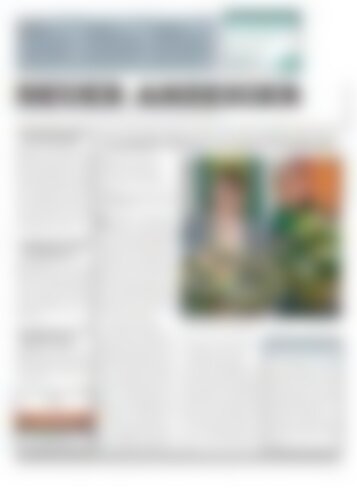 Neuer Anzeiger 18. Januar 2019