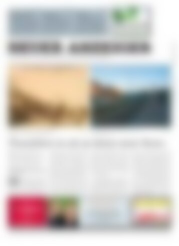 Neuer Anzeiger  25. Januar 2019