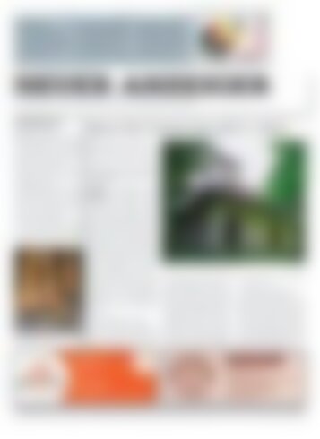 Neuer Anzeiger 26. Juli 2019