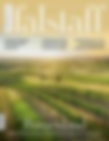 Falstaff Special 22/2019 Burgenland