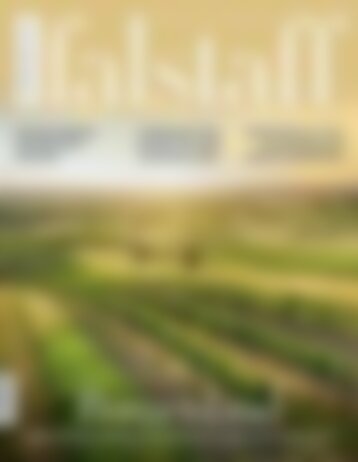 Falstaff Special 22/2019 Burgenland