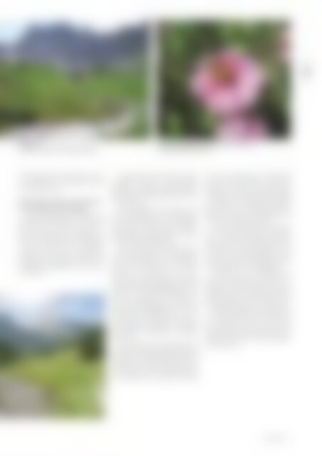 NATURZYT - Das Schweizer Naturmagazin Ausgabe April 2013