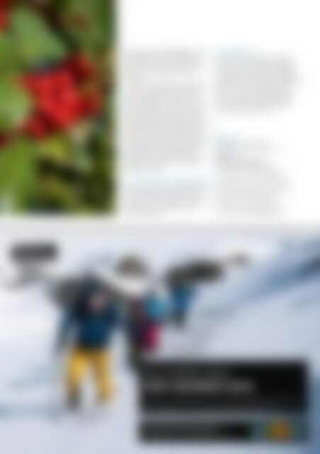 NATURZYT – Das Schweizer Naturmagazin – Ausgabe Dezember 2015