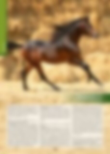 Arabische Pferde IN THE FOCUS Nr. 1/2020 (Vol. 21) - Preview