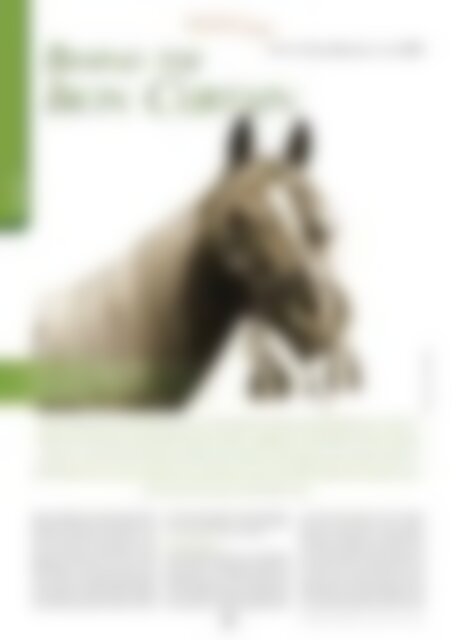 Arabische Pferde IN THE FOCUS 1/2022 (Vol. 29) - public