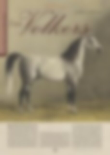 Arabische Pferde IN THE FOCUS 1/2022 (Vol. 29) - public