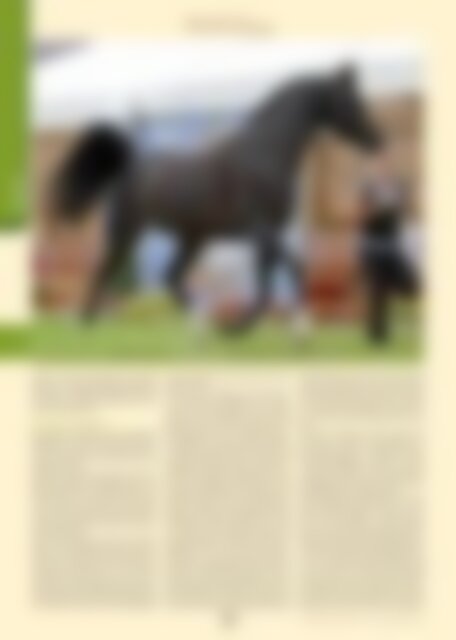 Arabische Pferde IN THE FOCUS 2/2022 (Vol. 30) - public