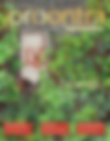 procontra Ausgabe 04-2022 Preview