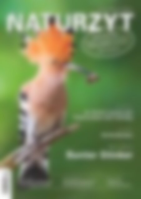 naturzyt-das-schweizer-naturmagazin-ausgabe-september-2022