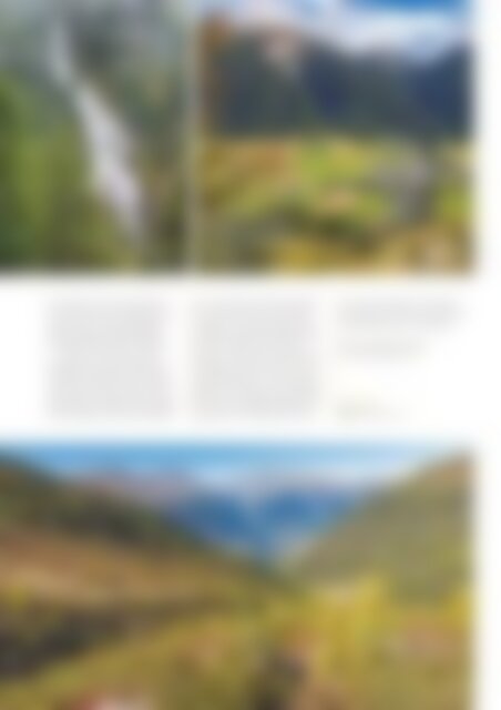 NATURZYT - Das Schweizer Naturmagazin, Ausgabe September 2022