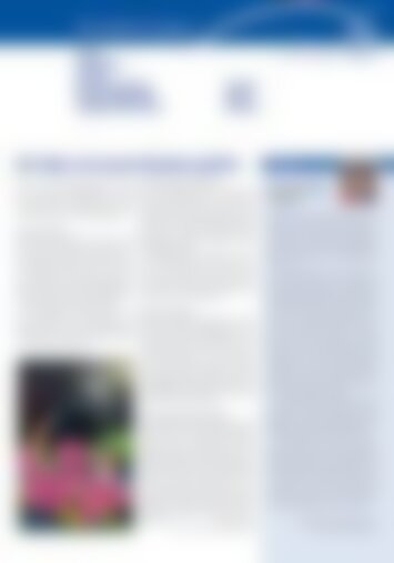 4 | Schwyz, Ibach, Seewen und Muotathal, Illgau, Ingenbohl-Brunnen, Kloster Ingenbohl, Gersau, Morschach, Stoos 6/2023