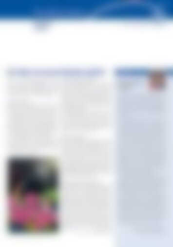 6 | Altendorf, Lachen 6/2023