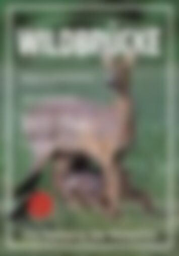 Wildbrücke Magazin - Wilde Tiere schützen Ausgabe 01/2023