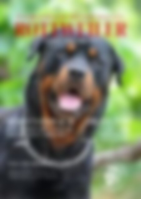 Rottweiler - Das Magazin Ausgabe September 2023