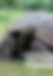 GI 2023 2 De