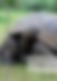 GI 2023 2 Fr