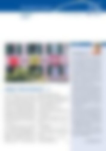 6 | Altendorf, Lachen 16/2023