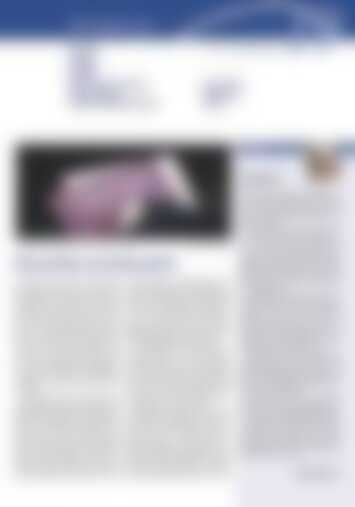 2 | Erstfeld, Silenen, Amsteg, Bristen, Gurtnellen, Wassen, Meien, Göschenen, Göscheneralp, Andermatt, Hospental, Realp 19/2023