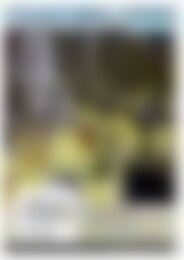 Essais & Simulations 155