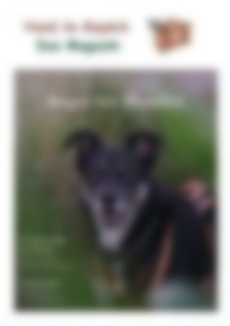 Leseprobe: „Hund im Gepäck - das Magazin“ Miniausgabe 1