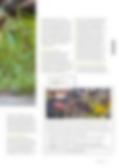NATURZYT - Das Schweizer Naturmagazin - Ausgabe März 2024