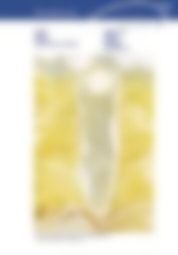 1 | Altdorf, Flüelen, Sisikon, Seedorf, Bauen, Isenthal, Attinghausen, Bürglen, Schattdorf, Spiringen, Unterschächen 7/2024