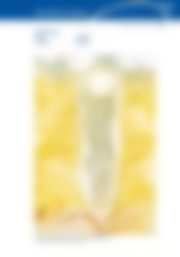 3 | Arth, Goldau, Lauerz, Sattel, Steinerberg 7/2024