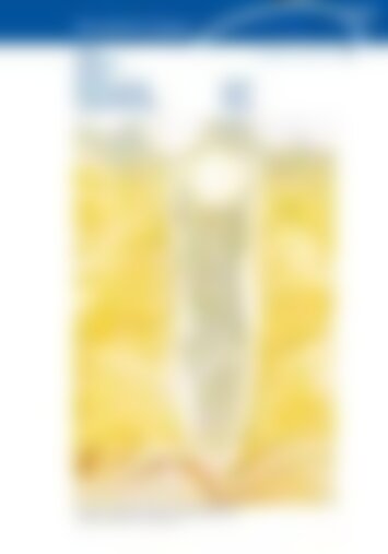 4 | Schwyz, Ibach, Seewen und Muotathal, Illgau, Ingenbohl-Brunnen, Kloster Ingenbohl, Gersau, Morschach, Stoos 7/2024