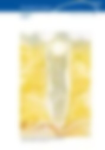 6 | Altendorf, Lachen 7/2024