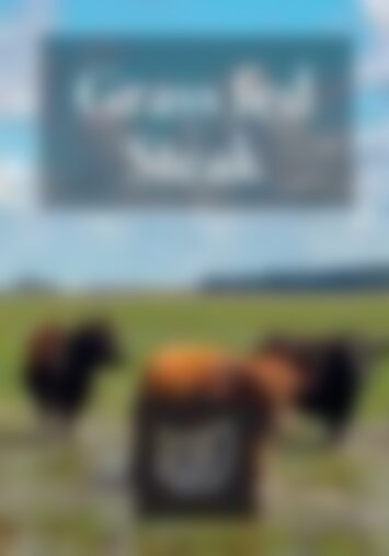 Guida ricette - Grass fed steak