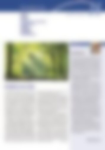 1 | Altdorf, Flüelen, Sisikon, Seedorf, Bauen, Isenthal, Attinghausen, Bürglen, Schattdorf, Spiringen, Unterschächen 11/2024