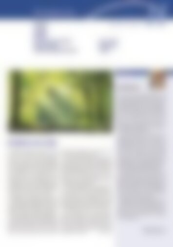 2 | Erstfeld, Silenen, Amsteg, Bristen, Gurtnellen, Wassen, Meien, Göschenen, Göscheneralp, Andermatt, Hospental, Realp 11/2024