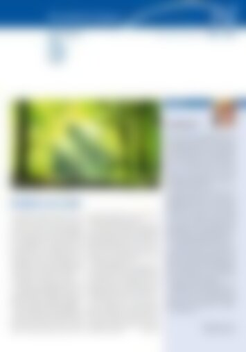 3 | Arth, Goldau, Lauerz, Sattel, Steinerberg 11/2024