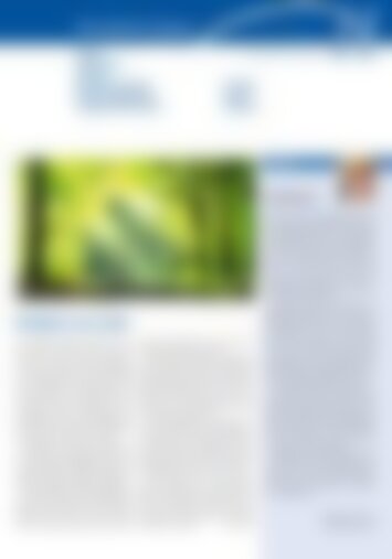 4 | Schwyz, Ibach, Seewen und Muotathal, Illgau, Ingenbohl-Brunnen, Kloster Ingenbohl, Gersau, Morschach, Stoos 11/2024